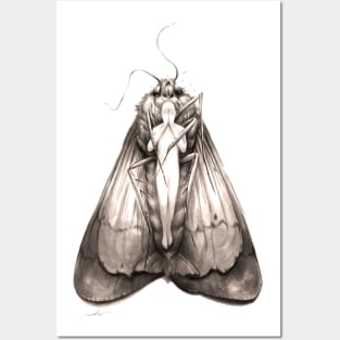 Of Moths Posters and Art